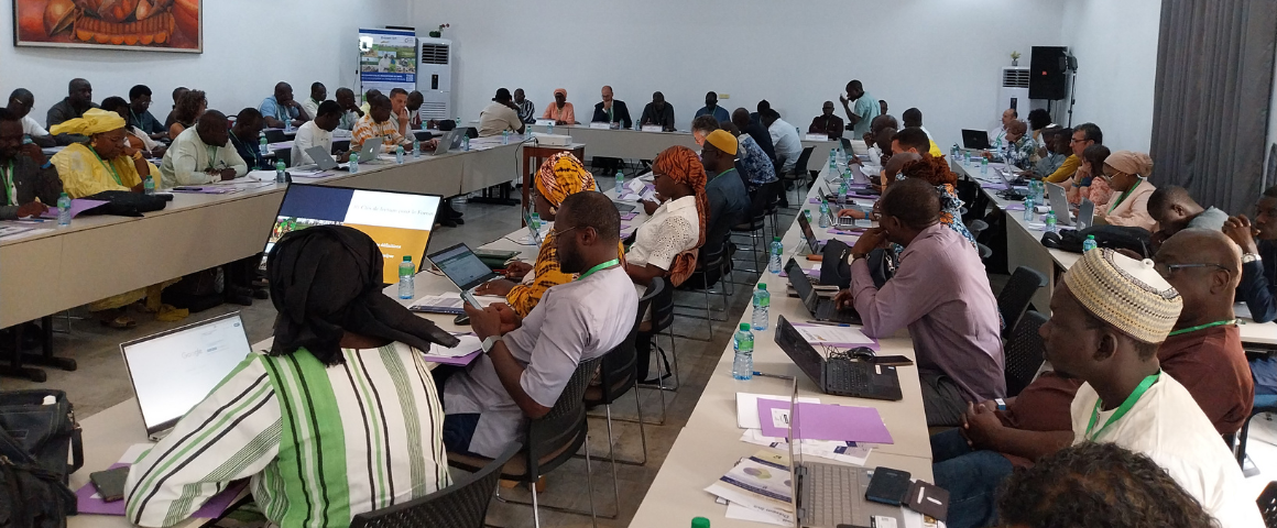 Session plénière lors de l'atelier de clôture du projet Dissem-inn